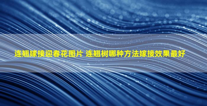 连翘嫁接迎春花图片 连翘树哪种方法嫁接效果最好